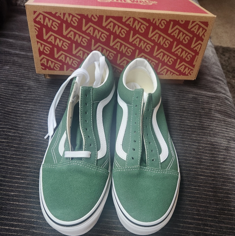 Old Skool Color Theory Greener Past VANS NIB